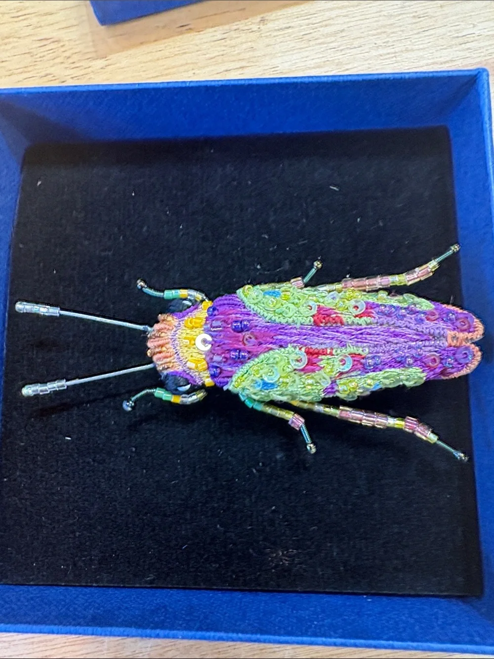 Trovelore Multicolor Sharpshooter Beetle Embellished Brooch Pin